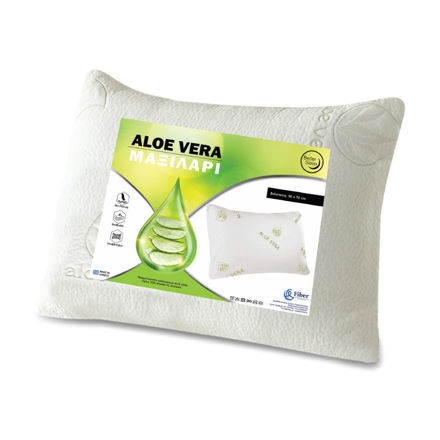 Εικόνα για ALOE VERA ΠΛΕΚΤΟ